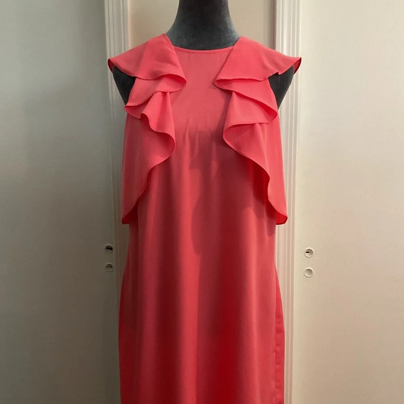 ❤️ Charming Charlie Ruffle Hem Dress - Picture 2 of 4